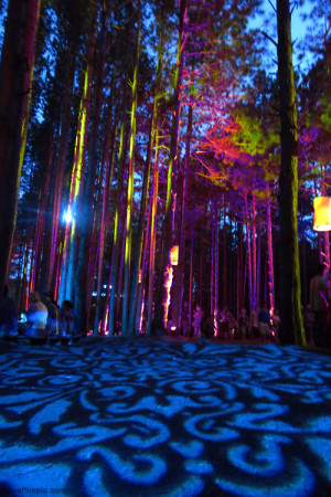 Trippy Forest Light