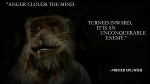 Some wisdom from Master Splinter.