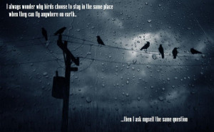 Motivational Travel Picture Quote - Wallpaper