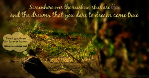 December Quotes Winter Quotes Cat quote over the rainbow