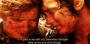 lord of the rings #lotr #sam and frodo