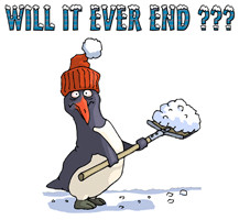 ... fun shop humorous funny t shirts penguin humor snowbound penguin