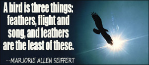 quotes by subject browse quotes by author bird quotes quotations ...