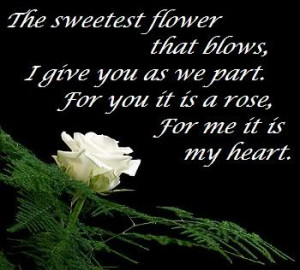 SWEETEST QUOTES OF ALL TIME