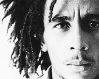 How To Draw Bob Marley Step 2jpg