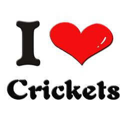 love_crickets_greeting_cards_pk_of_10.jpg?height=250&width=250 ...