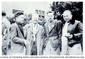 Lewis C Lindegren Alfred Hershey And Joshua Lederberg 1951
