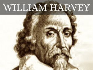 William Harvey William harvey