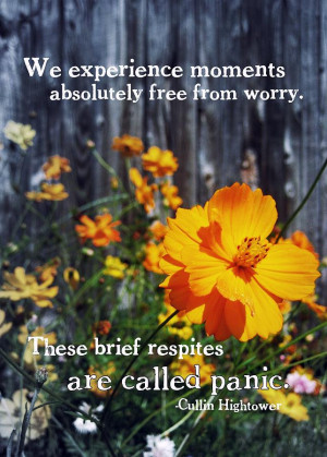 Wildflower Quote Photograph