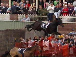 ... -as-a-race-horse-leaps-into-a-crowd-of-spectators-in-australia.jpg