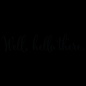Well Hello There Wall Quotes™ Decal