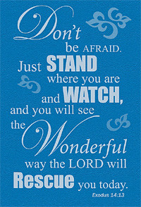 Exodus & Pursuit 13:1-15:21