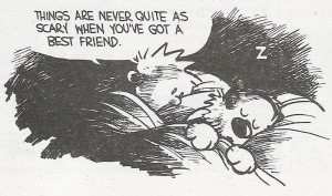 Calvin and Hobbes demonstrate the importance of social bonds. Cartoon ...