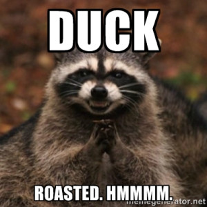 evil raccoon - duck roasted. Hmmmm.