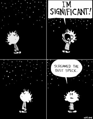 significant! Screamed the dust speck. ~Calvin & Hobbes