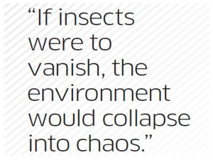 The Creation' presents an argument for saving biological diversity on ...