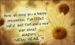 ... happy prosperous fun filled joyful and fortunate new year ahead, happy