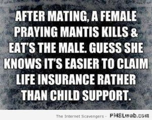 18-praying-mantis-funny-quote
