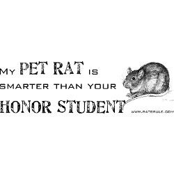smarter_pet_rat_bumper_bumper_sticker.jpg?height=250&width=250 ...