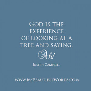 The Experience of God...