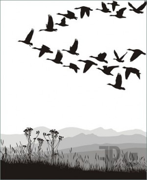 Geese Flying in V Formation Clip Art