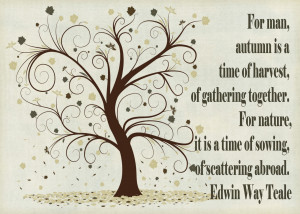 just love this quote as you know autumn don t call it fall is my ...