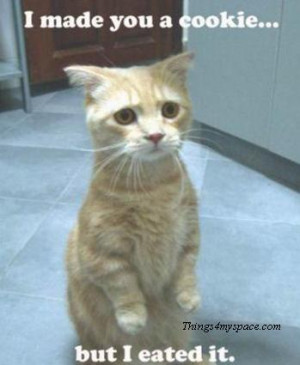 Cute pictures of animals, funny quotes and pictures