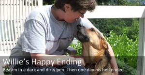 Dog Rescue Stories - Happy Endings
