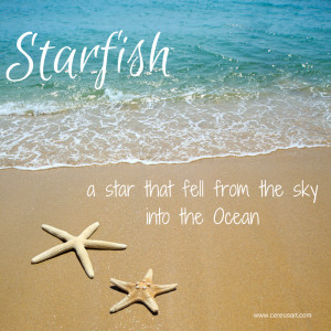 Beach Saying on CereusArt: Starfish - A Star that fell from the sky ...