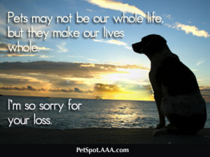 Sympathy Dog Loss Quotes For your loss dog sympathy