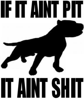 Funny Pitbull Quotes | Funny Sticker and Meme: Super Funny Hilarious ...