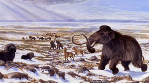 Ice Age mammals' demise - Humanity in the Clear.