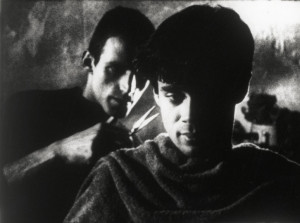 All Photographs Andy Murch