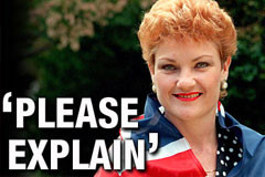 SERIAL election candidates like Pauline Hanson, accused of running ...