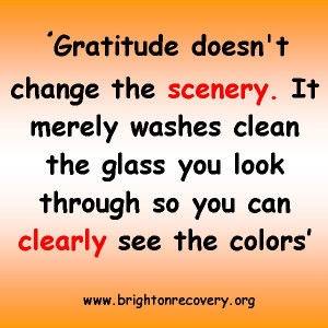 Gratitude doesnt change the scenery...