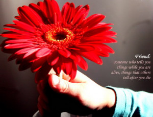 Here are sharing some pictures of Cool Friendship Quotes On Flowers ...