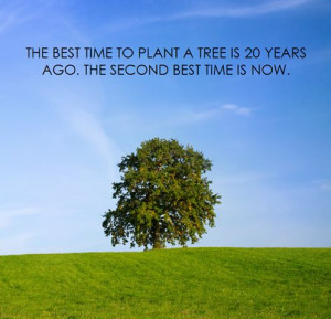 ... time to plant a tree is 20 years ago. The second best time is today