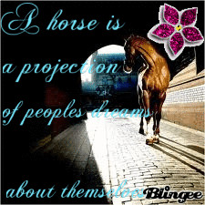 good horse quote if i do say so myself