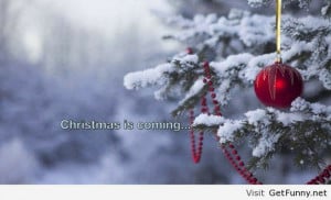 funny-december-pics-funny-quotes-funny-winter-2013-funny-sayings-and ...