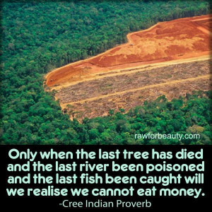last tree has died and the last river been poisoned and the last fish ...