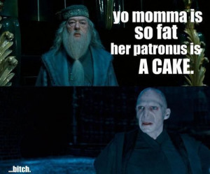 Funny Harry Potter - harry-potter Photo