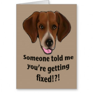 Funny Get well card for dogs