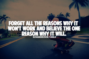 ... the reasons why it won't work and believe the one reason why it will