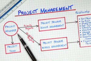 Outline 2 reasons why projects fail and two reasons why ...