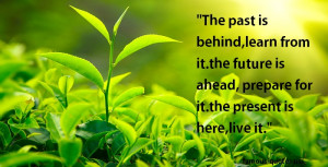 The past is behind,learn from it.the future is ahead, prepare for it ...