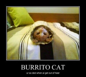 Eating Burrito Funny
