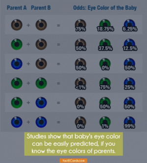 that baby’s eye color can be easily predicted, if you know the eye ...