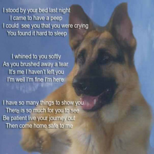 HERE WE WOULD LIKE TO REMEMBER OUR GERMAN SHEPHERDS THAT HAVE CROSSED ...