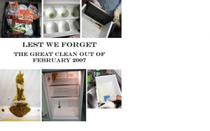 Funny Quotes About Fridge Cleaning Just Cause