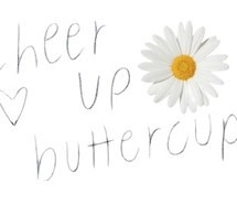 beautiful, buttercup, cheer up, cute, daisy, flower, follow for follow ...